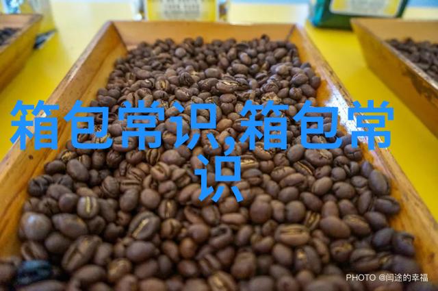 探索时尚界的新宠Blade女包的魅力与实用性