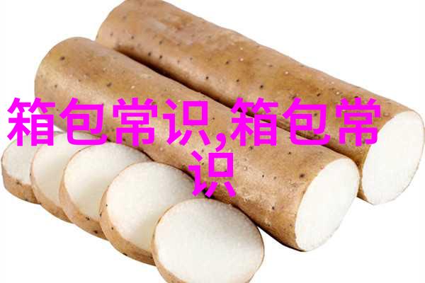 潮流新宠女圈圈包的时尚魅力与搭配技巧