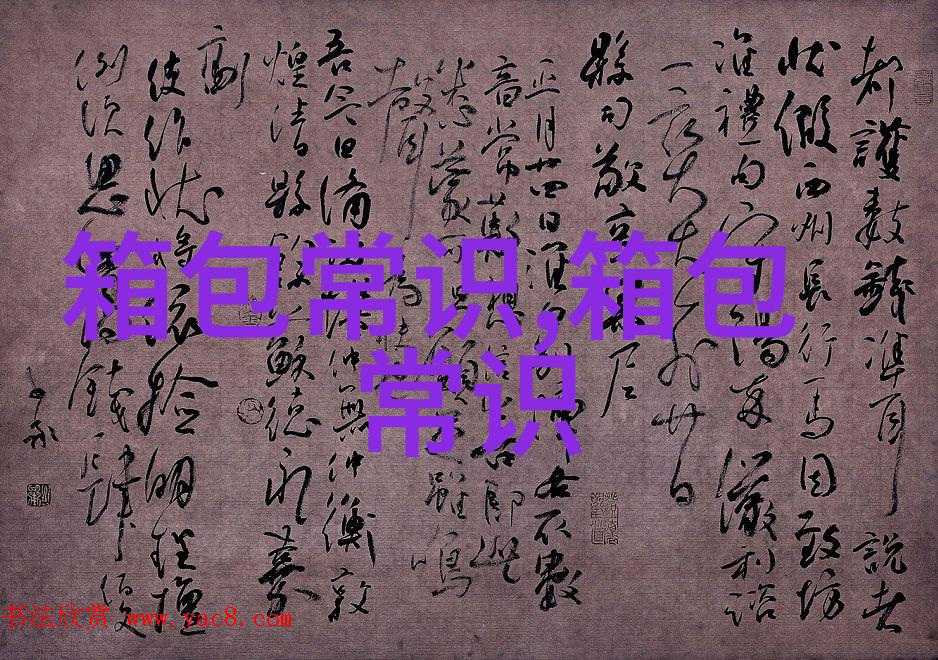 马裤女包时尚与实用的完美结合
