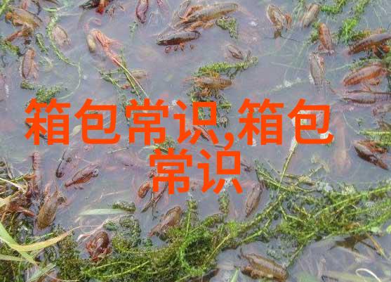 真皮沙发可以用酒精清洗吗