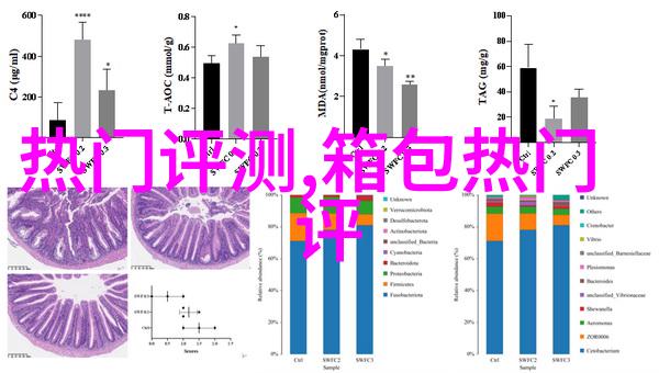 vans高帮板鞋推荐几款