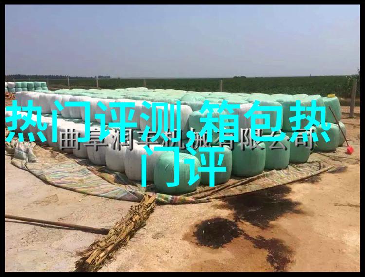 孙俪代言哪个手表品牌