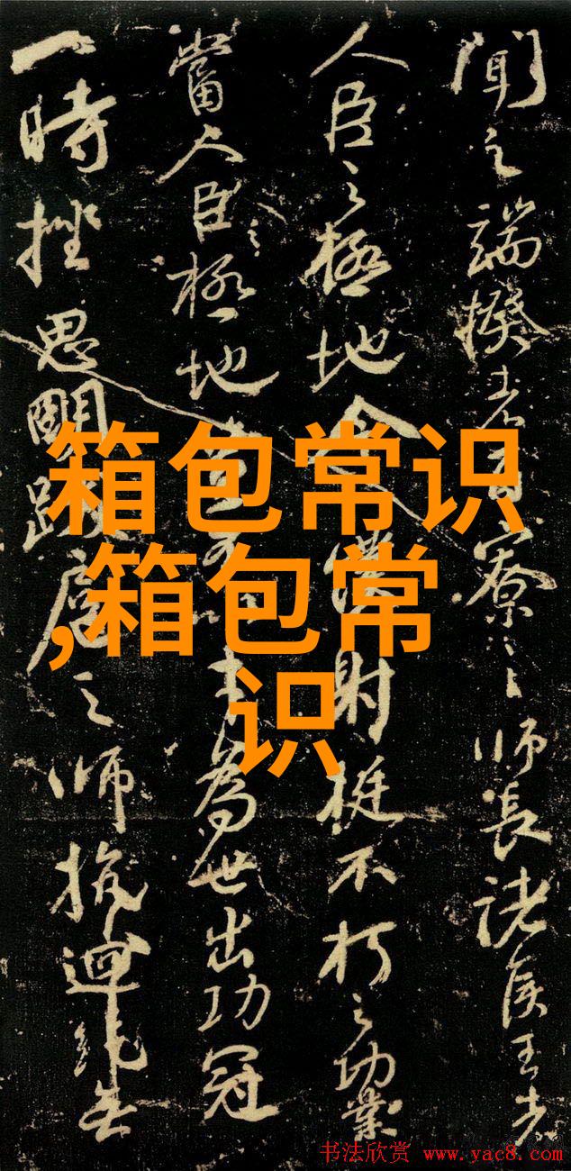 优雅与时尚的完美结合探秘Laltanani女包