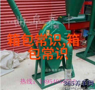 黄金的狐狸挂件寓意着什么