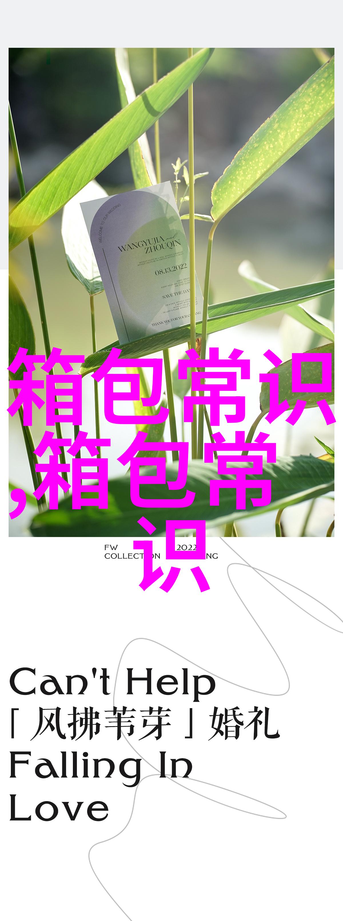 时尚与实用兼具的Aifu女包你的完美购物选择