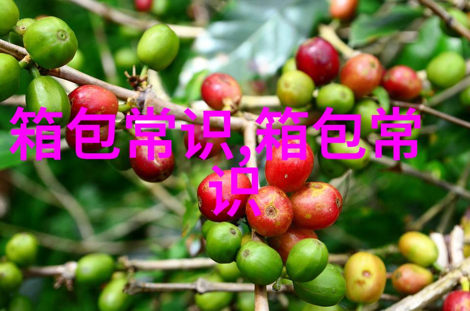 探索MGDS女包的时尚魅力与潮流趋势