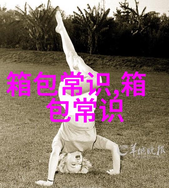 探索DVF女包时尚与功能的完美结合
