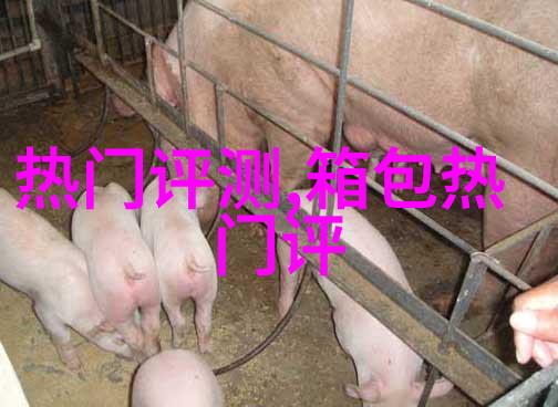 通灵的博物馆系列的钻戒怎么样