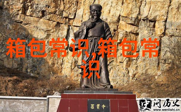男生黑色羽绒服里面穿什么颜色格子衫好看